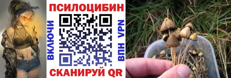 нарко площадка клад  Безенчук  Псилоцибиновые грибы Cubensis  купить закладку 